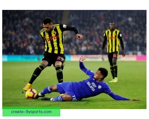 沃特福德足球俱乐部历史荣誉与发展路径深度解析